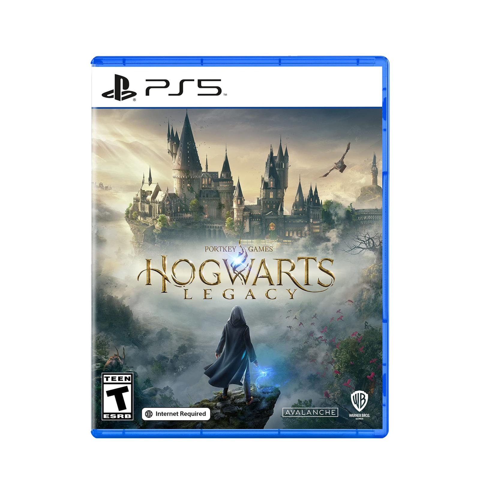 Hogwarts Legacy PS5